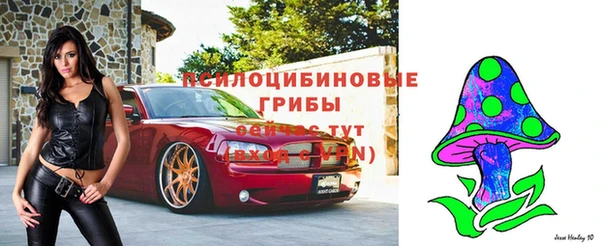 СК Баксан